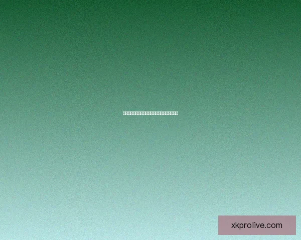 星空体育平台使用安全性全面评估与风险防范解析